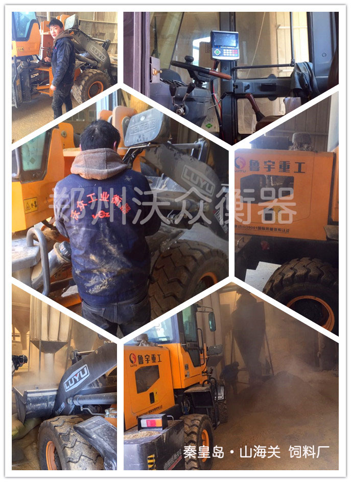 �ػʍu��ϏS�b�d�C��ӳӰ��b�F(xi��n)��